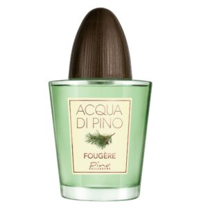 عطر مردانه آکوا دی پینو فوژه پینو سیلوستر