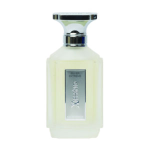 عطر مردانه سیلور اکستریم زیفوید 100 میل