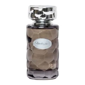 عطر مردانه ورسای شاتگان