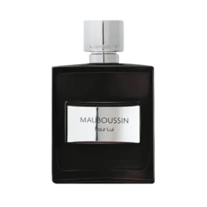 عطر مردانه ادوپرفیوم 100 میل پور لویی مابوسین