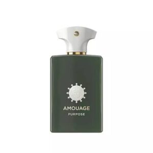 عطر ادوپرفیوم مردانه آمواچ پرپس (پورپس)